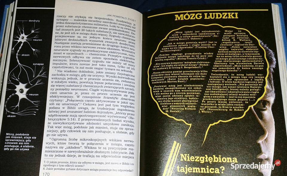 powstało życie ewolucję czy stwarzanie Praca twarda Chełm