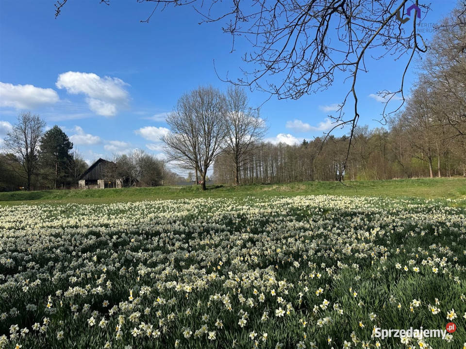 Sprzedaż gruntu Gostyń 2007m2 Sprzedaż