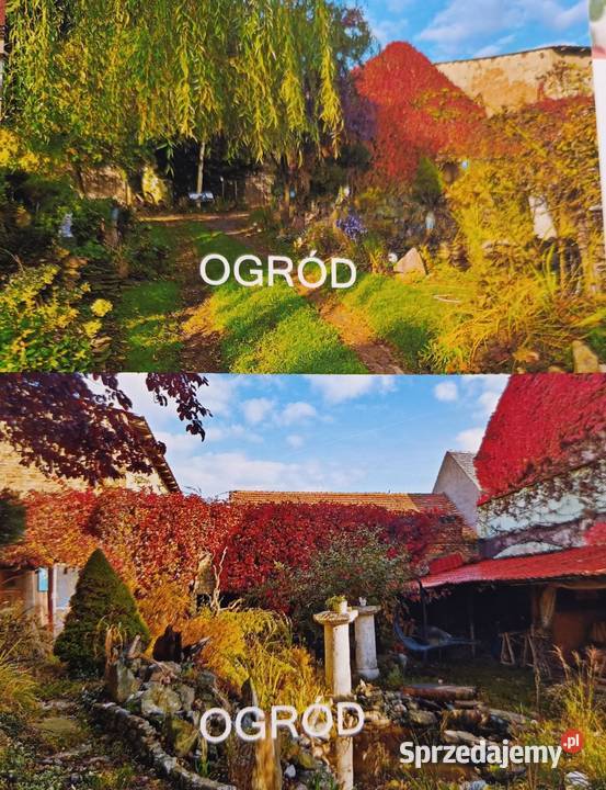 Sprzedam dom cegła Domy dolnośląskie Jarosław