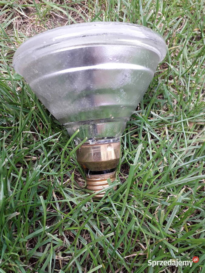 Lampy spot PAR ogrodowe ze szikulcem Lampy ogrodowe mazowieckie Warszawa