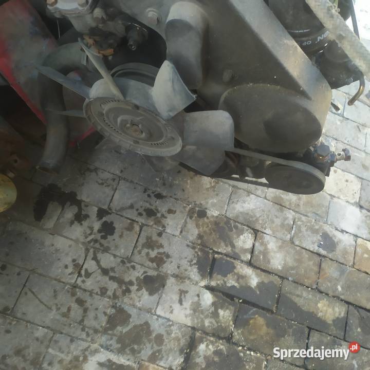 Silnik Andora 25 d Rok produkcji 1998 Pniówek