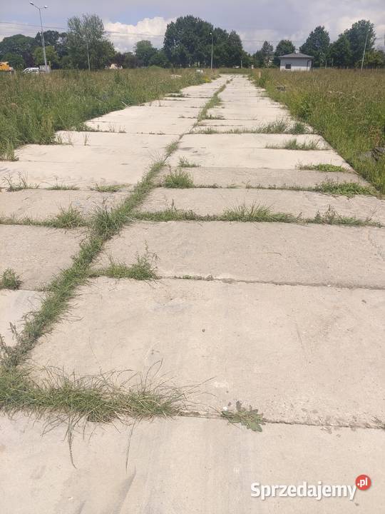 Płyty drogowe betonowe 300x150x15 używane Tarnów