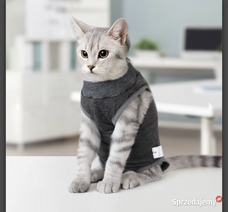 Polisept Vet Care Ubranko Pooperacyjne Psa i Pozostałe Poznań