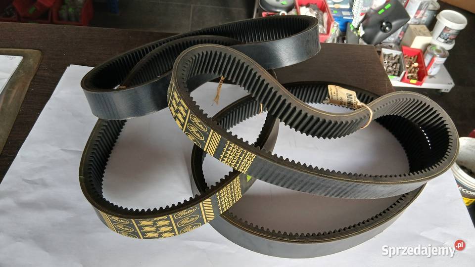 Pas klinowy napęd motowidła Claas 1462186 Radomsko