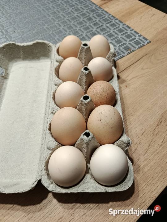 Jajka wiejskie Żuraw