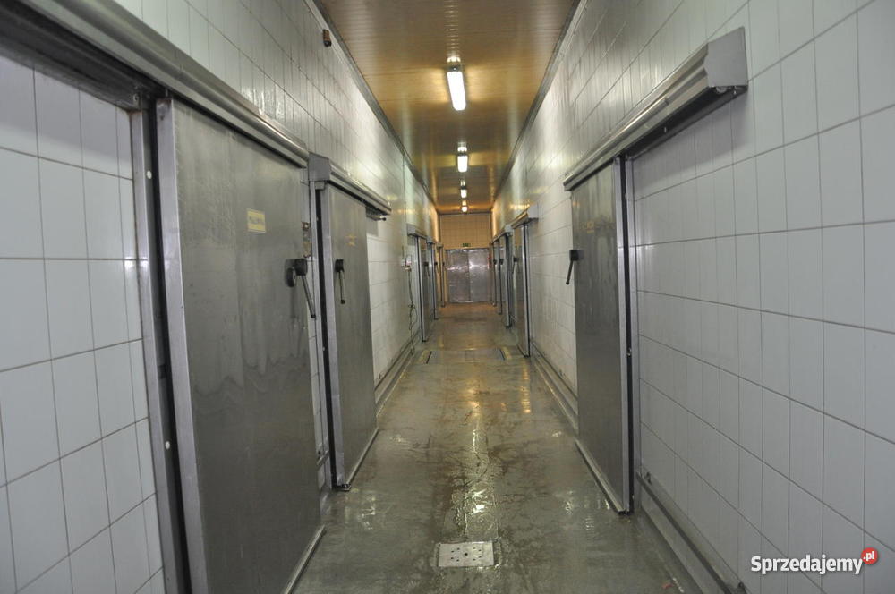 DOCHODOWY ZAKŁAD MIĘSNY Jelcz-Laskowice