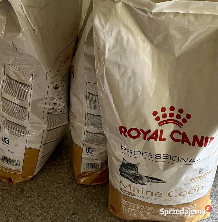 Każda RC Brit Maine Coon 15 Worek Kitten Adult mazowieckie Warszawa