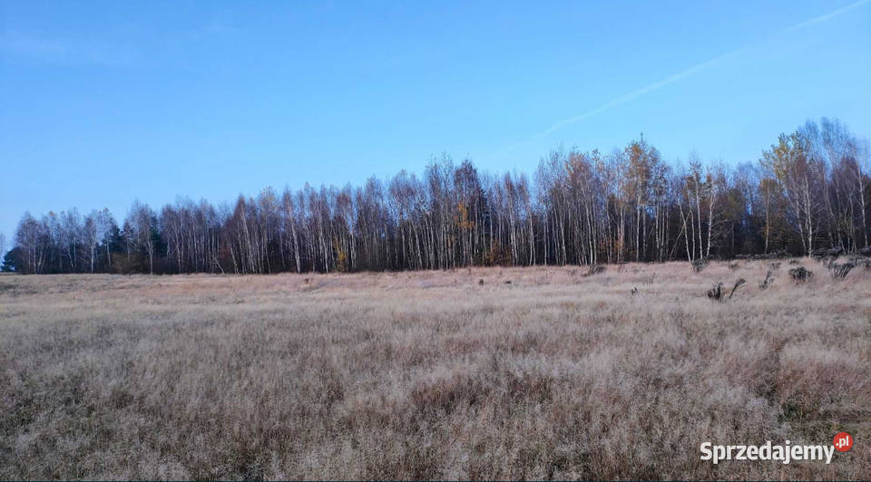działka budowlana grodzisko gm żytno pow