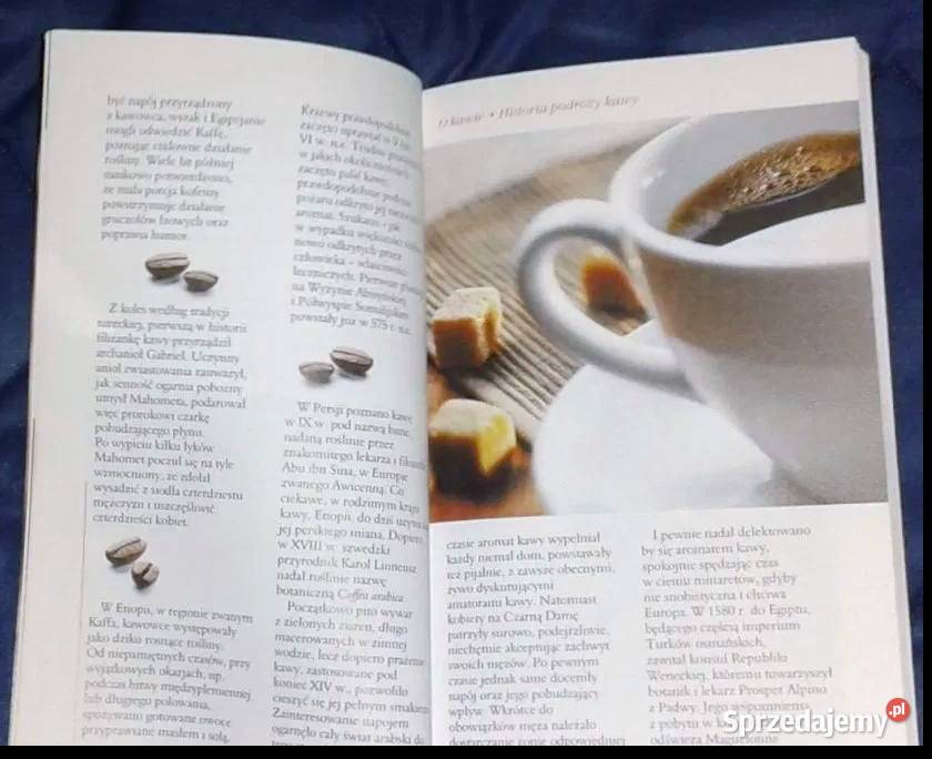 Kawa herbata czekolada Pascal miękka Pozostałe