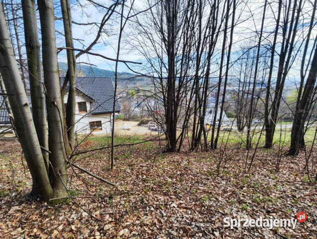Sprzedaż działki Piechowice 1349m2 Sprzedaż dolnośląskie