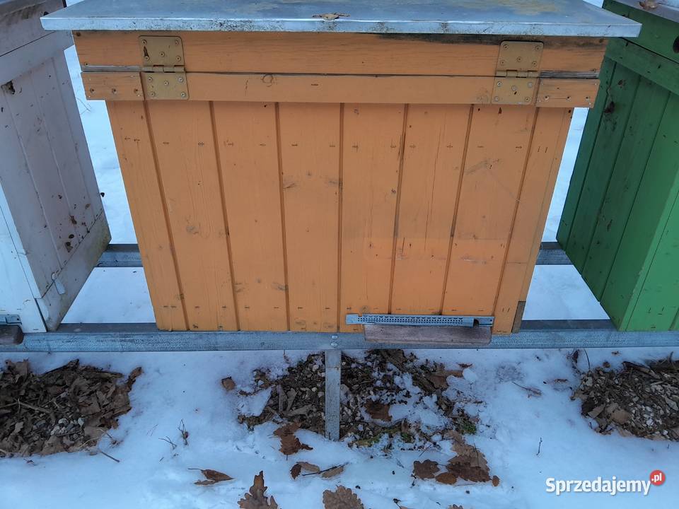 Ule drewniane warszawskie poszerzane świętokrzyskie