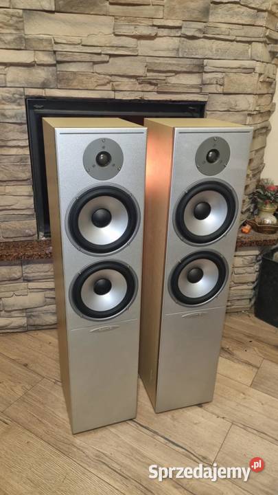 Kolumny Quadral Argentum SAM 07 2x150Watt Buk Warta