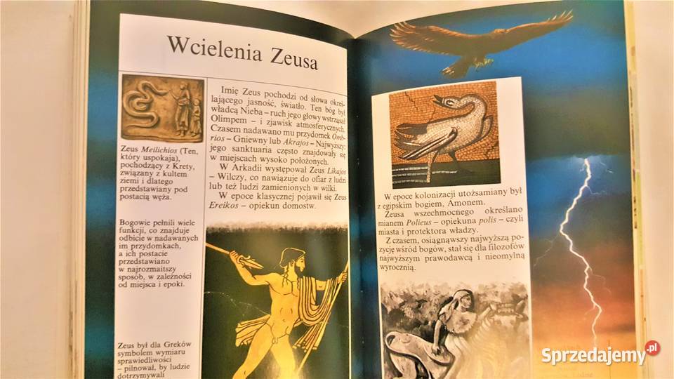 Książka o mitologii Greków i Rzymian Katowice sprzedam