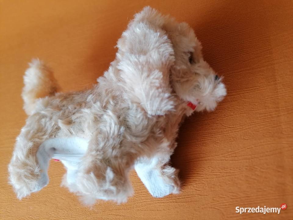 Piespiesek interaktywnyZabawkaPies chodzi łódzkie