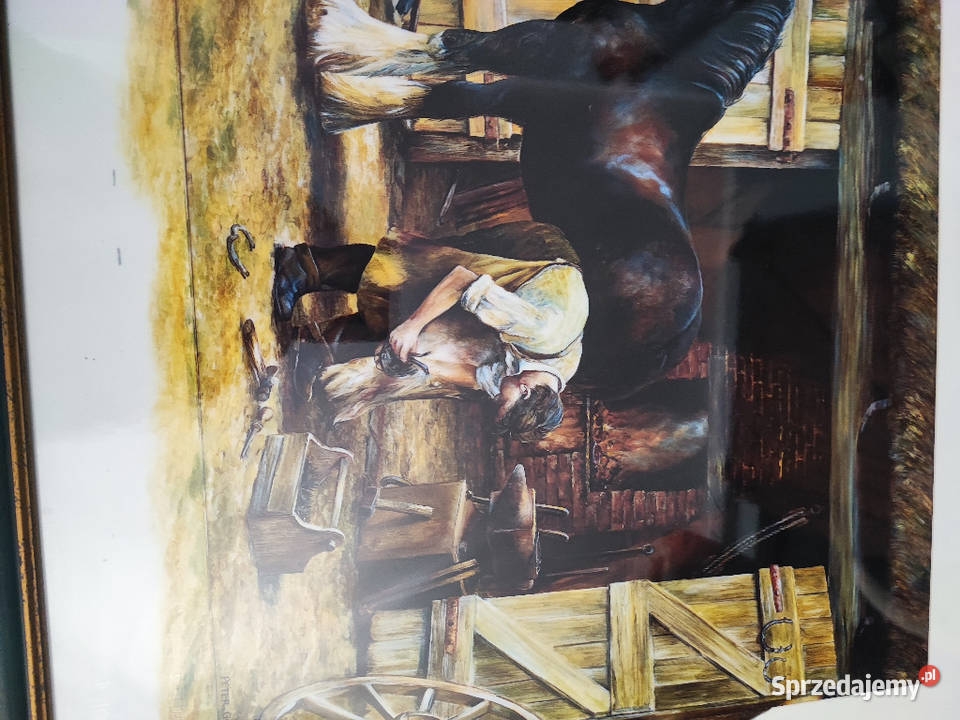 obraz reprodukcja Peter Goodhal Płock