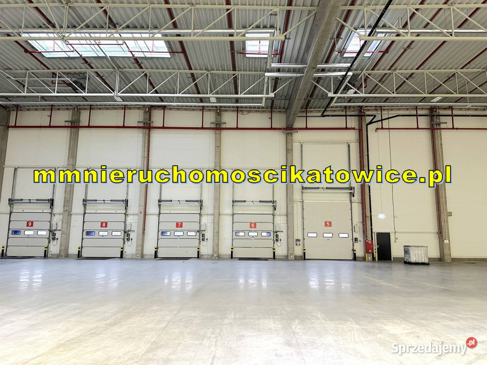Halamagazyn do wynajęcia Katowice dojazd do klimatyzacja