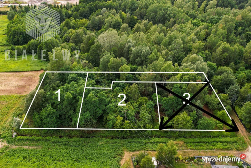 sprzedaży działki Wilcza Góra Polna 1195m2 polna