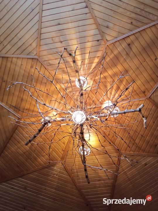 Lampa Żyrandol Sufitowy Ścienny Korzeń Drzewa Siedlce