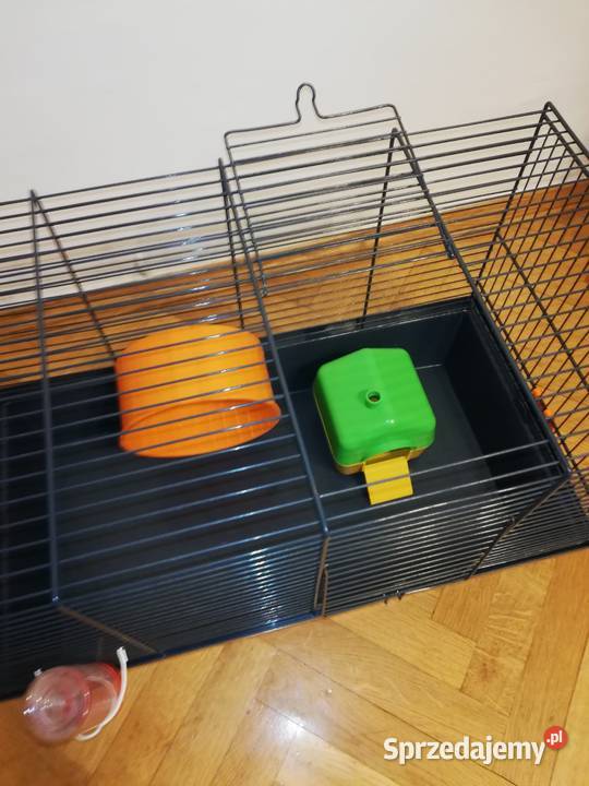 Klatka chomika myszki szczurka akcesoria Warszawa
