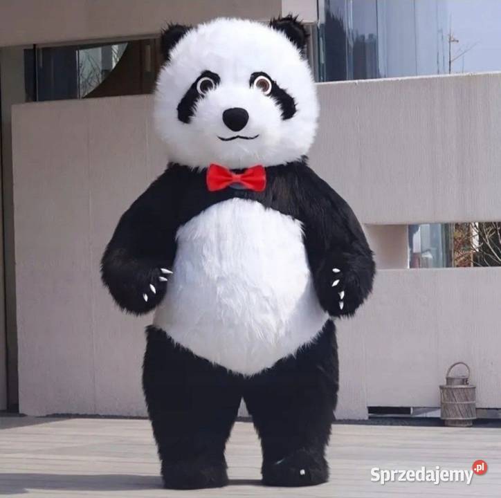 Panda miś kostium dmuchany 25m z BATERIĄ Sochaczew
