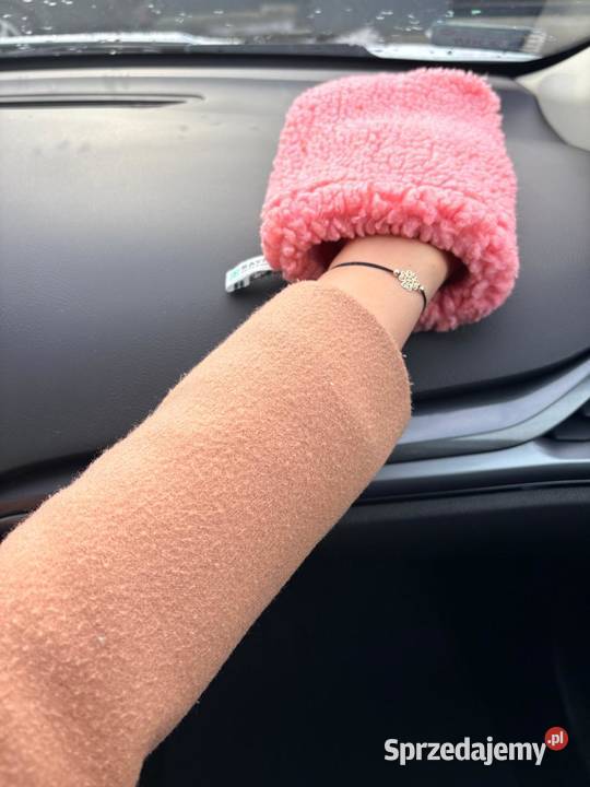 Recykling czyściw Raypath 50 ceny Bełk