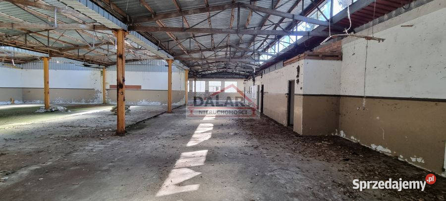 Dom Sierzchów Sierzchów 1200m2 8000m2