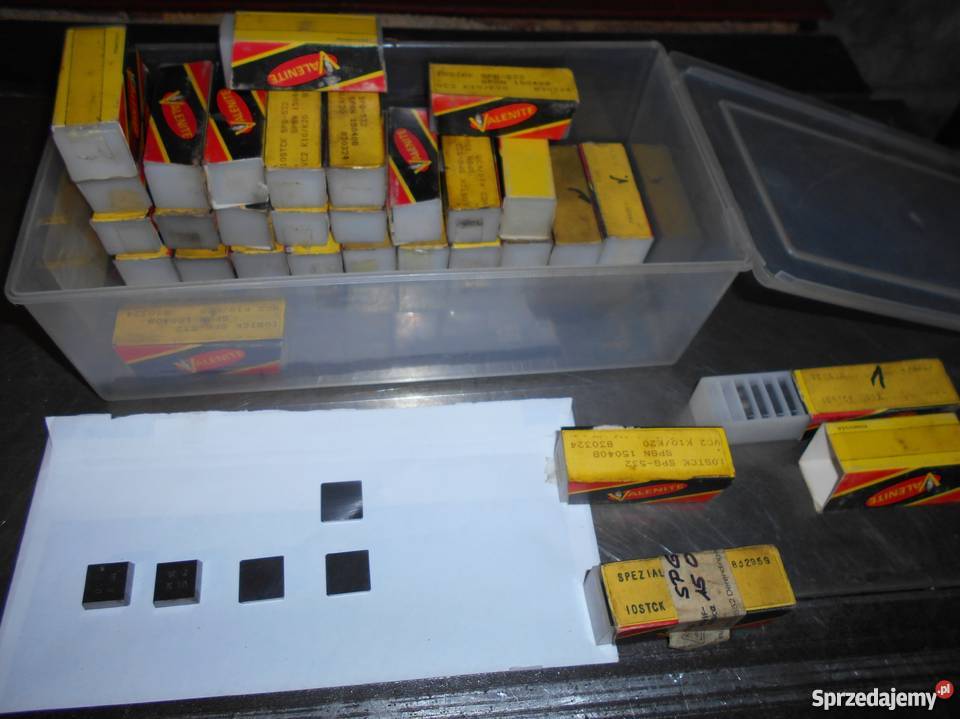 Spieki SPGN USA Trzebunia