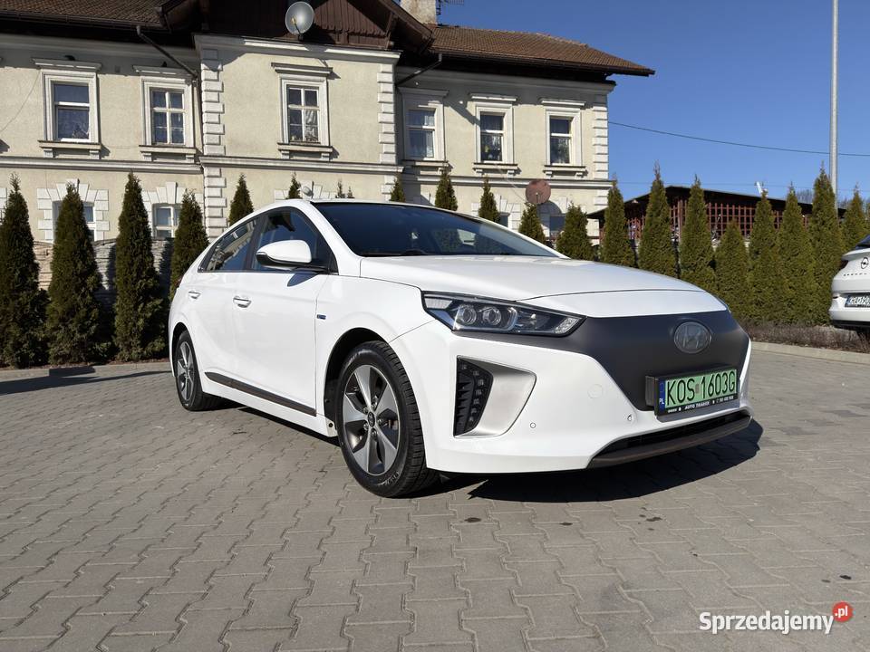 Hyundai Ioniq 28 kWh Platinum wideorejestrator małopolskie Skawina