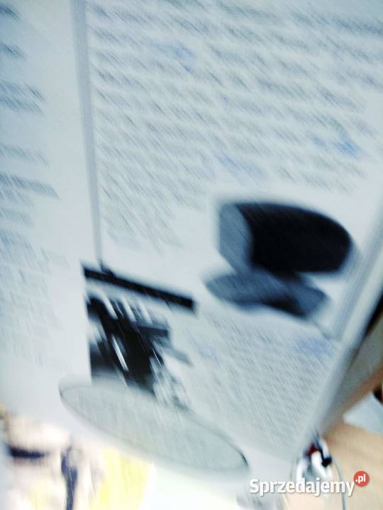 matura success intermediate angielski kursy