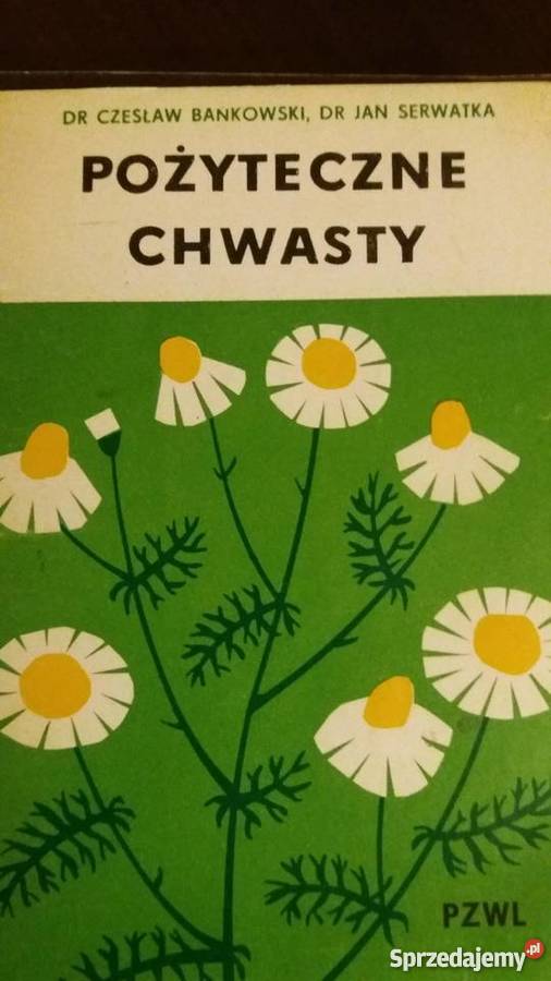 Pożyteczne chwasty drBankowski dr Serwatkajs kujawsko-pomorskie Bądkowo