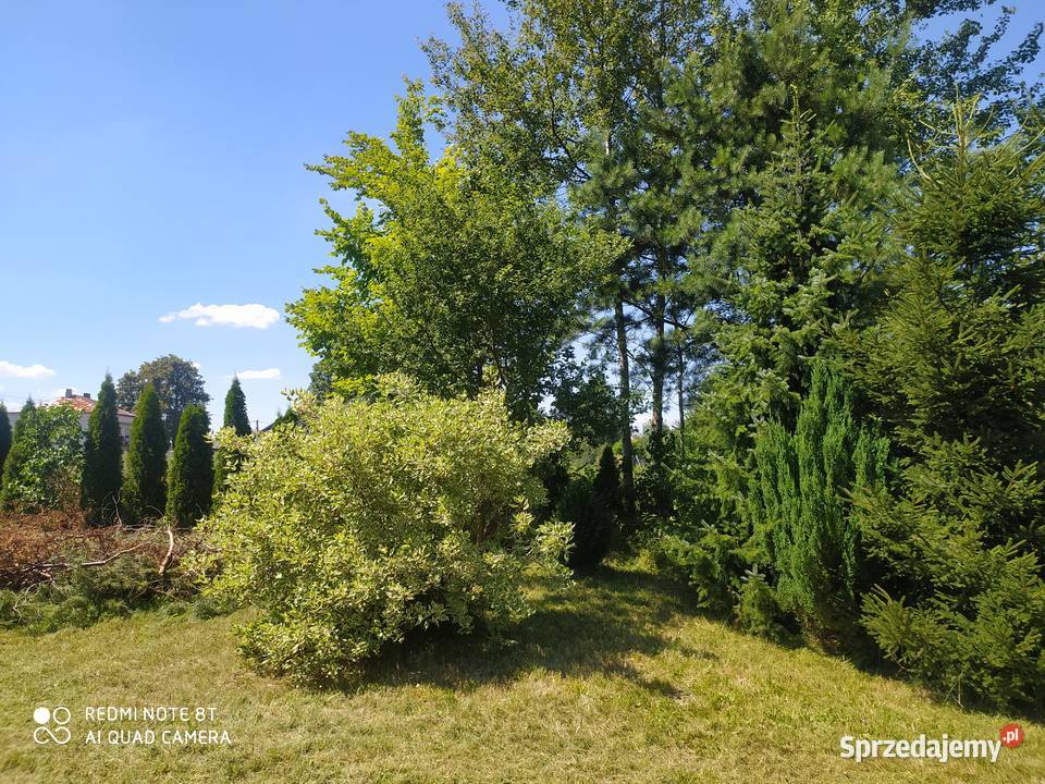 działka Dębe Małe gmLatowicz