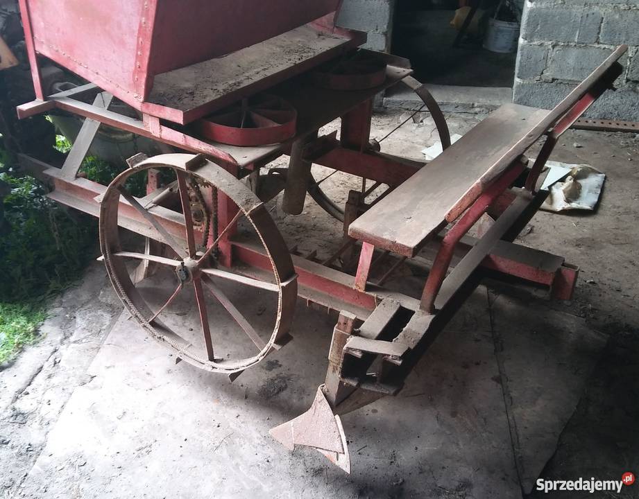 Sadzarka do ziemniaków również podkiełkowanych Hutki