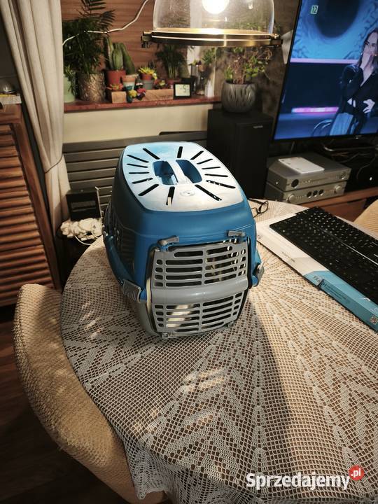 klatka kota w stanie Zwierzęta