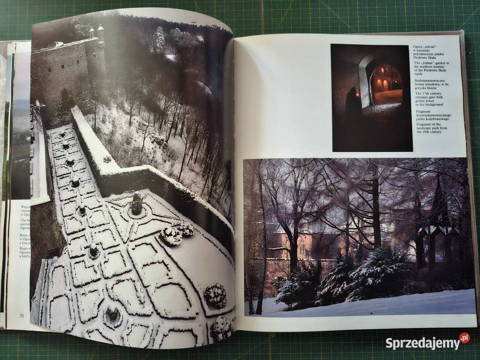 Zamki i zamczyska Adam Bujak Kraków