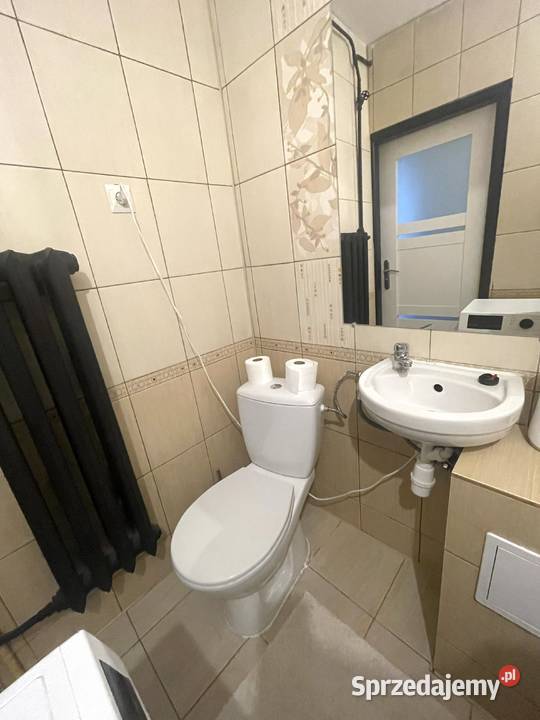 Wynajmę 3 piętra i więcej wielkopolskie