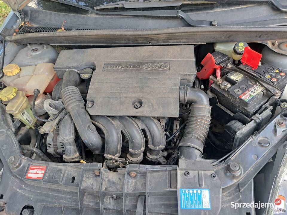 Ford Fiesta 14 2006 niski przebieg manualna Lwówek Śląski