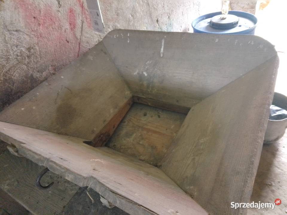 Wialnia starodawna nieuszkodzony Pozostałe Sadłowice