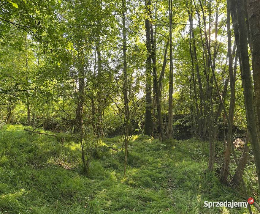 Działka z możliwością zabudowy lubuskie Rudawica