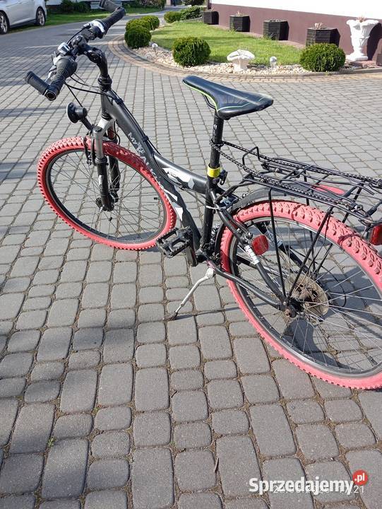Rower górski 26 świętokrzyskie Ciekoty