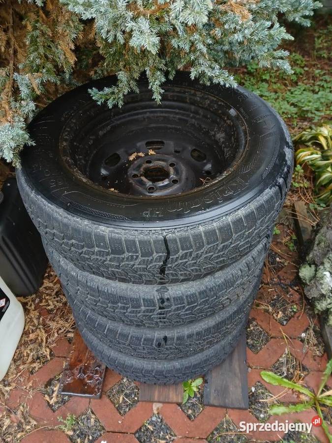 Koła Zimowe Polo Fox Końskie