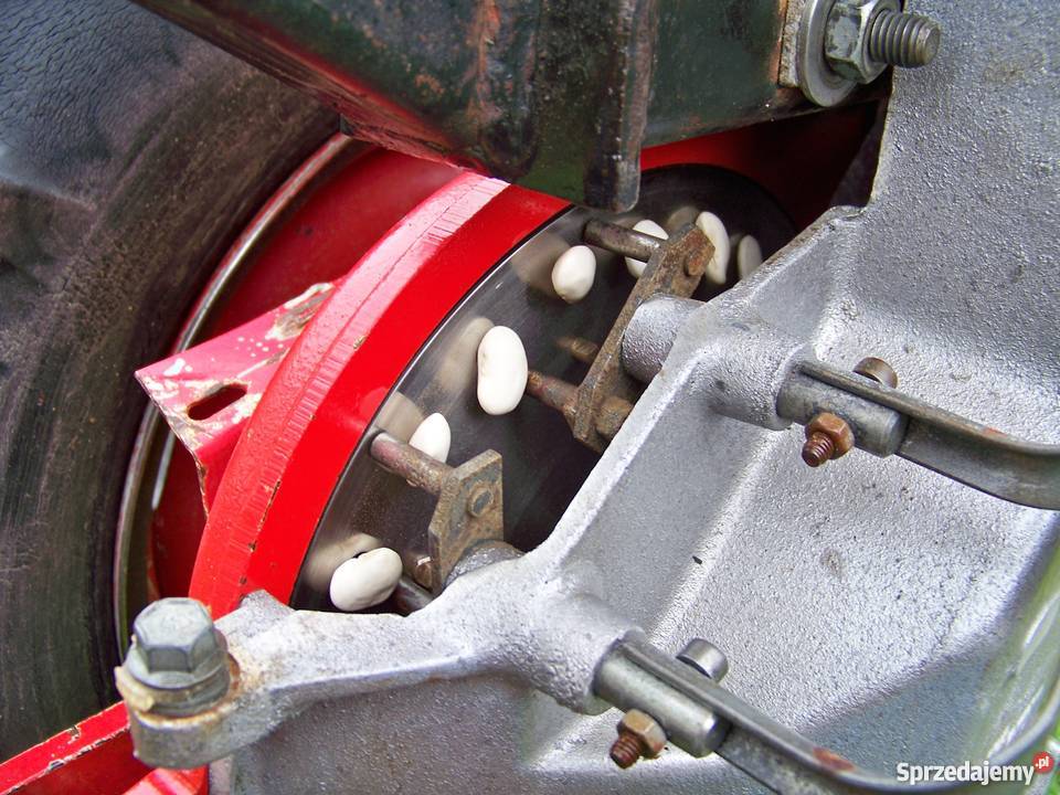 Siewnik do Fasoli Kukurydza Burak Dębina