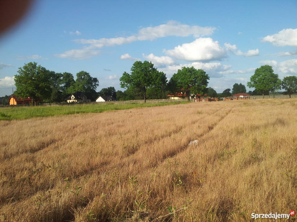 Działki budowlane w Witkowie koło Stargardu Witkowo Drugie sprzedam