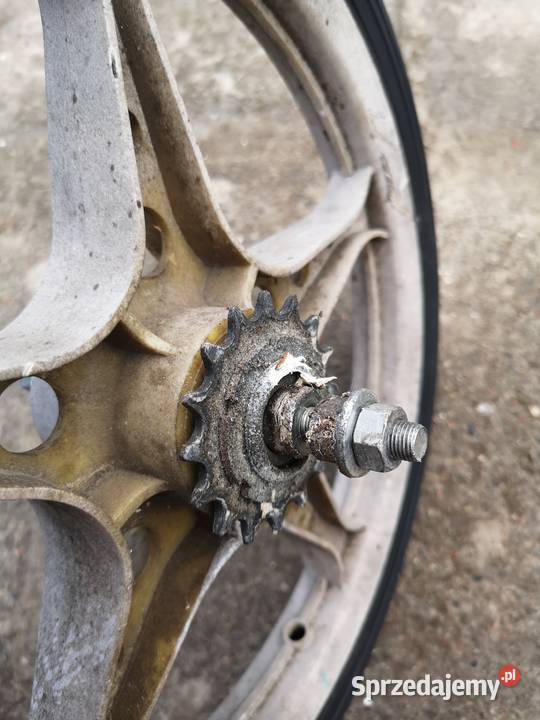 Rower stacjonarny Romet koło 16 Gdańsk