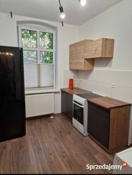 Wynajmę bezpośrednio właściciela Katowice