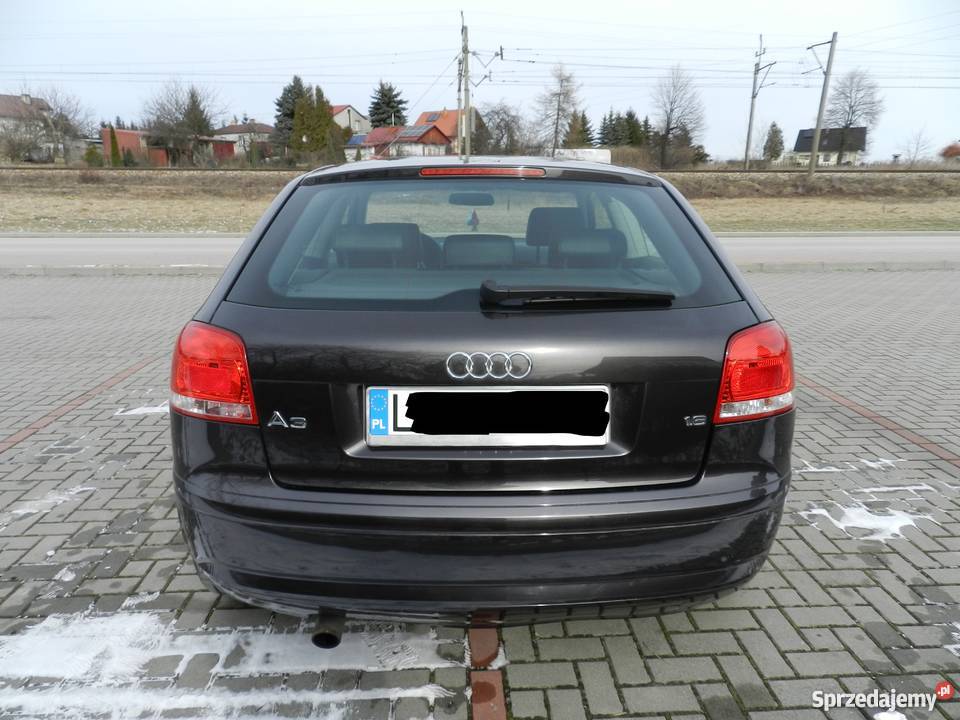 Audi A3 8P 16 Benzyna Xenon Skóra Pierwszy ABS