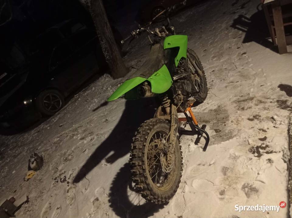 Diabolini Kopytowa sprzedam