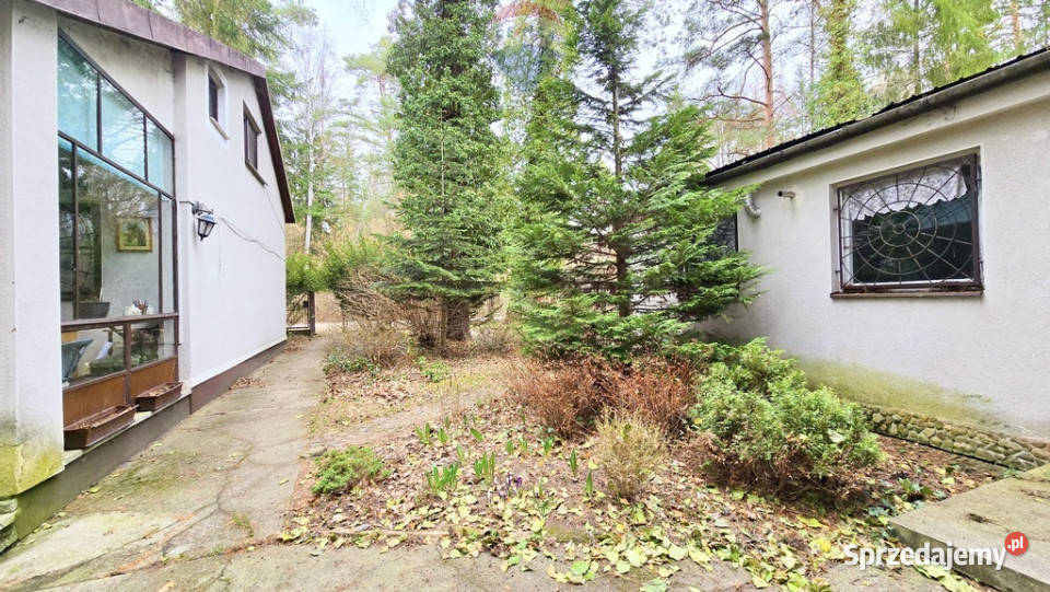 Działka zabudowana Zalesie Górne Kwiat Paproci budowlana Sprzedaż mazowieckie