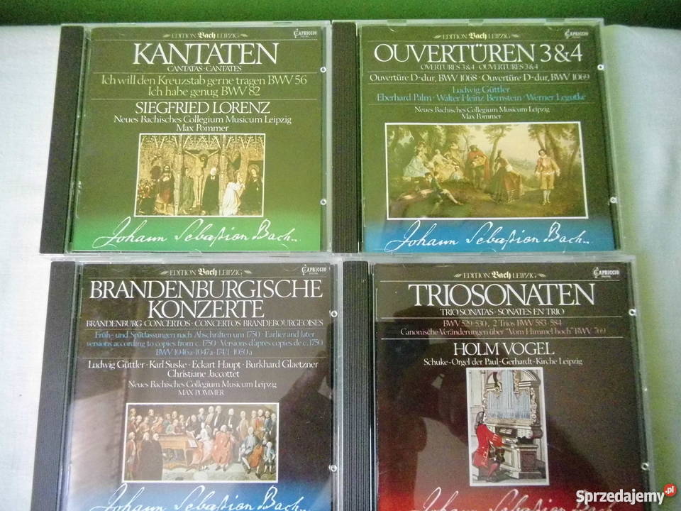 Płyty CD śląskie Żory