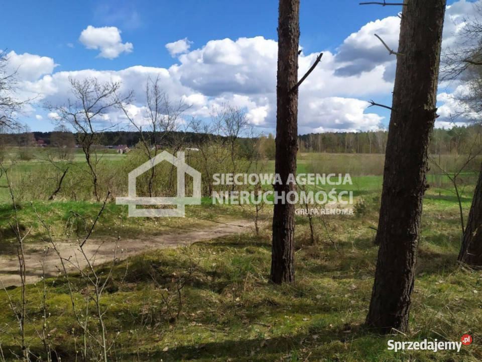 sprzedaży działki 2400 metrów Jałowiec Sprzedaż pomorskie sprzedam