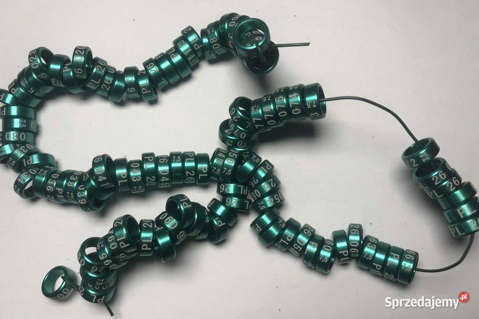 Obrączki drobnej egzotyki papug 26 26 rozmiar Maków Podhalański